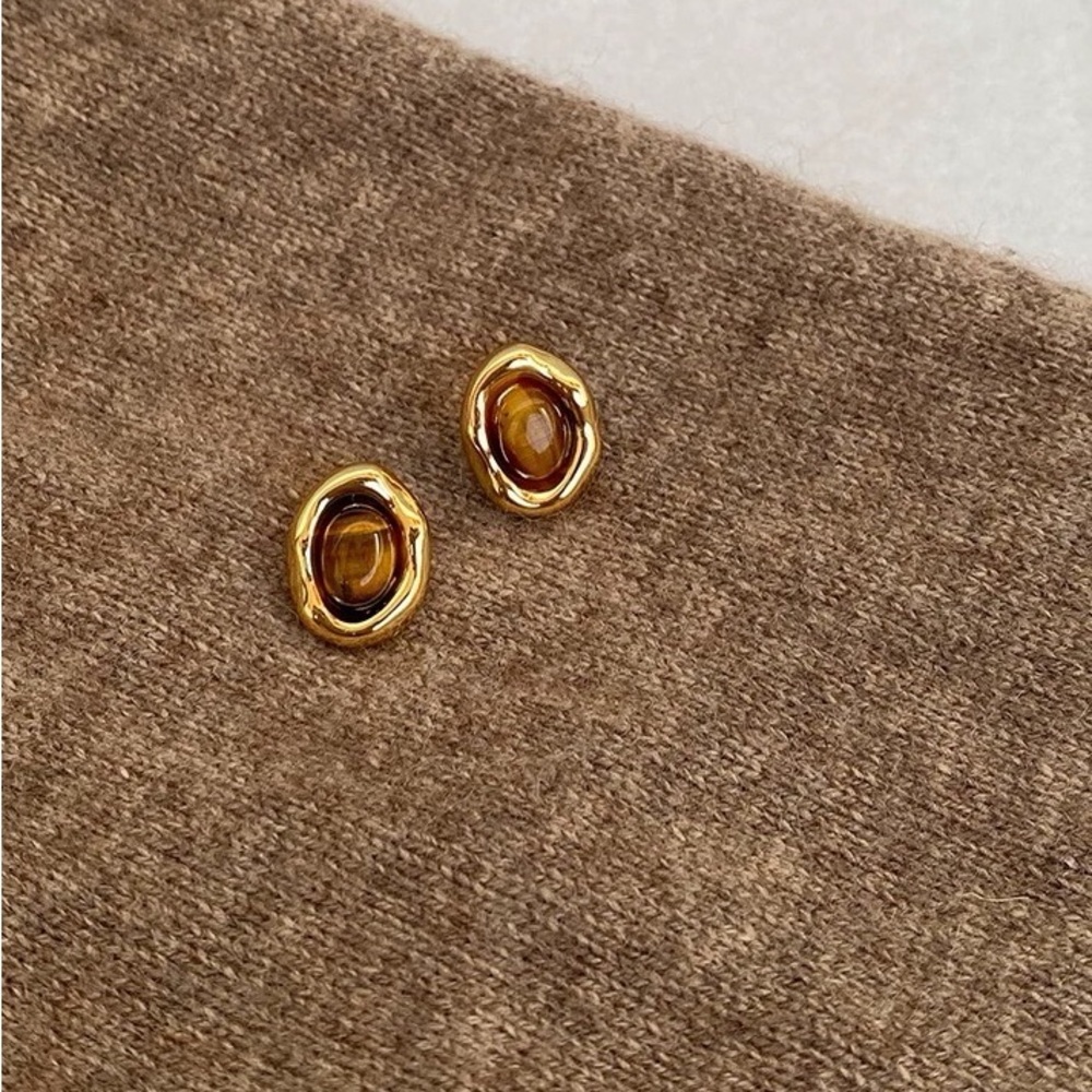 Elegant Gold and Brown Stud Earrings